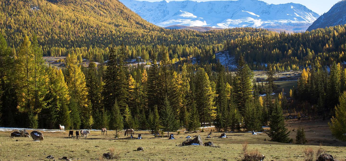 La Sibérie, immensité sauvage